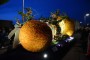 Thumbs/tn_Bloemencorso 2015 210.jpg
